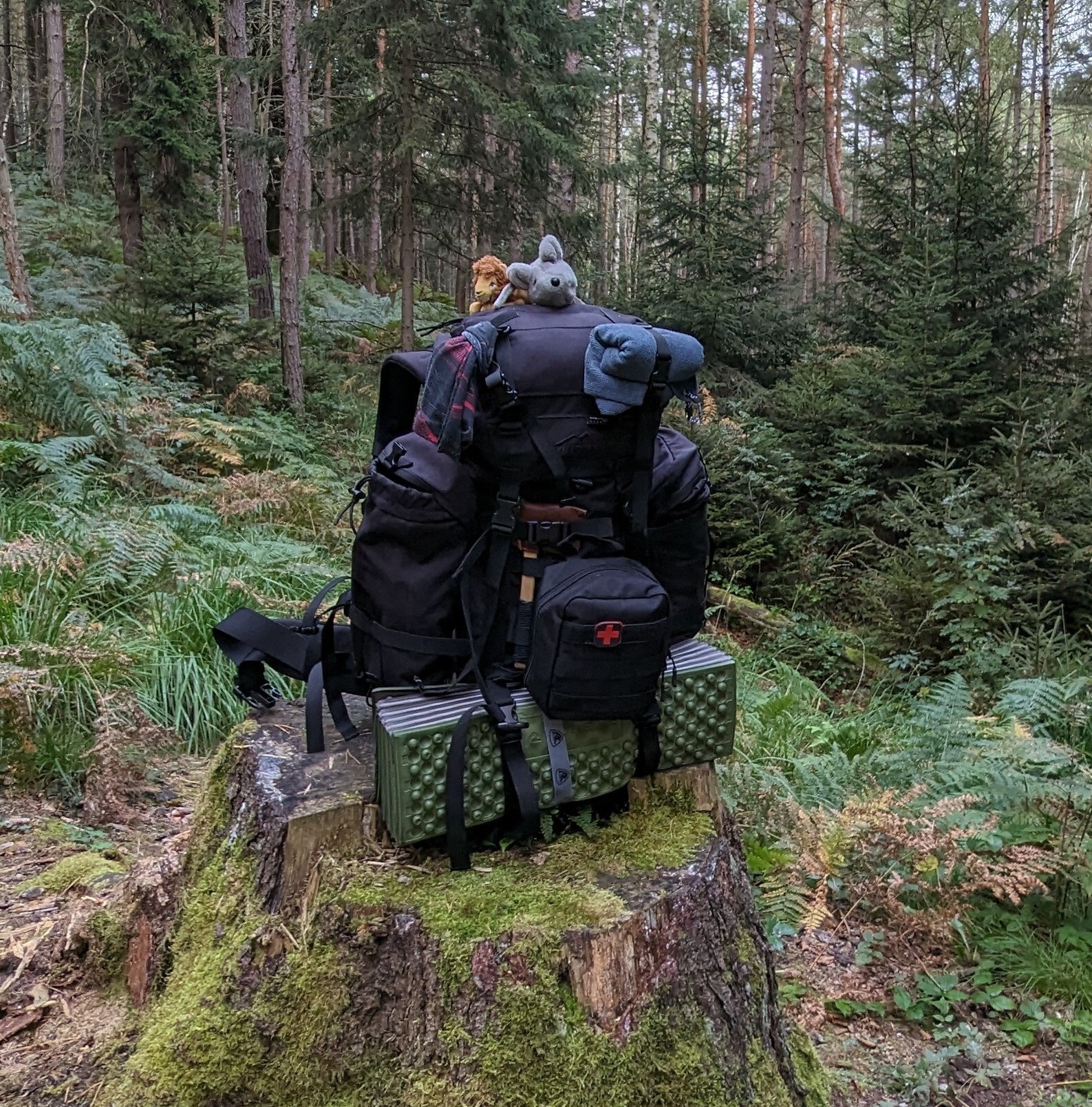 🎒 Lieber ein ehrlicher Blick in den Rucksack, als weiter Steine schleppen.